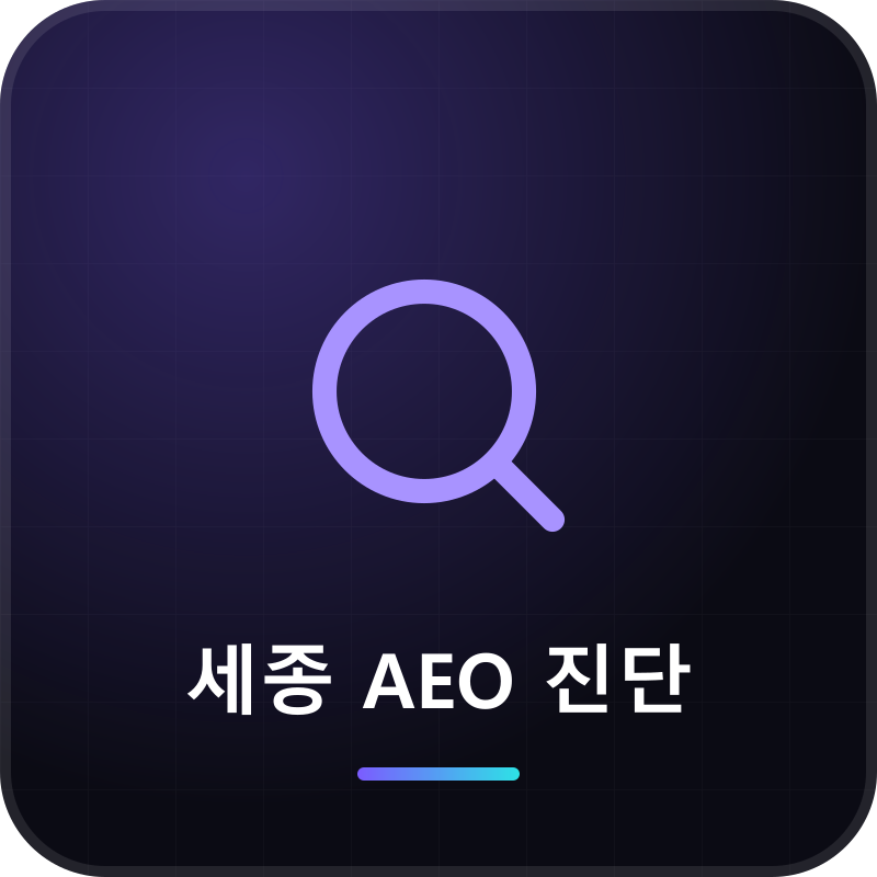 세종 AEO 진단